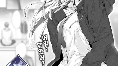 히비키 커뮤니케이션 [섹트야동,쇼츠야동,한국야동,딸퀸야동]