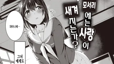 모서리에는 사랑이 새겨지는가? [섹트야동,쇼츠야동,한국야동,딸퀸야동]